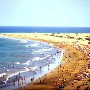 https://rosado-430.in-canary-islands.com